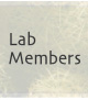 Lab Members
