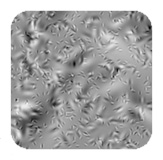 Texture Histogram II